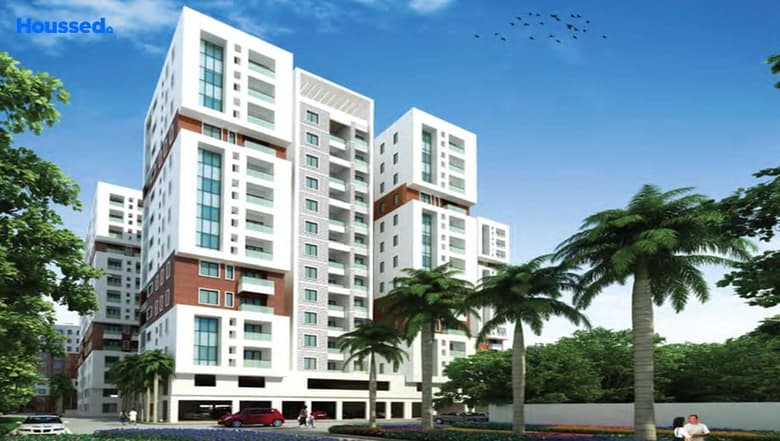 Radiance Mandarin — view 2